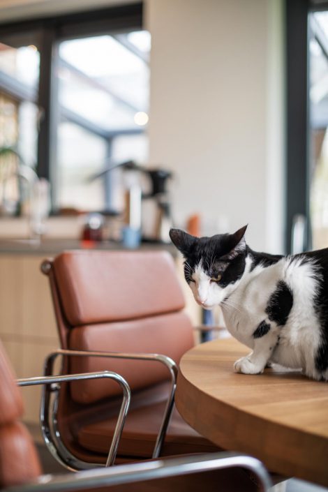 moderne keuken met houtlook