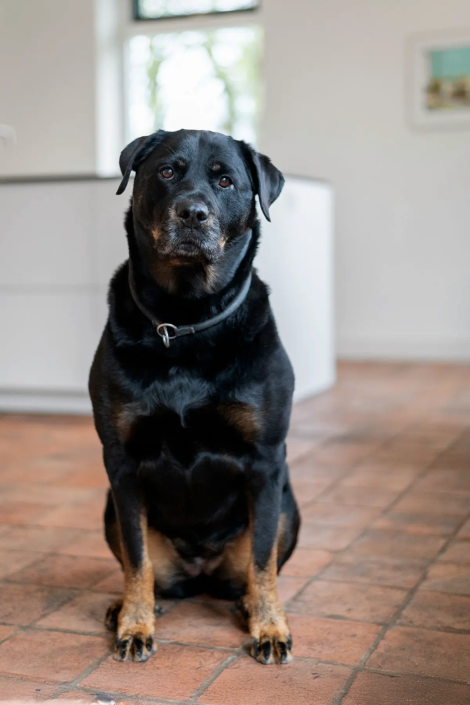 Moderne Keuken Emmen | Inter Art